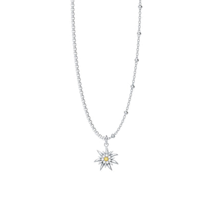 Front Image of Edelweiss | Womens | Necklace | Stainless Steel | silver Stone | Fashion Jewelry | JS.0207.A | Jowissa | Cubic Zirconia