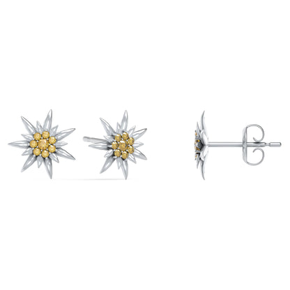 Front Image of Edelweiss | Womens | Earrings | Stainless Steel | silver Stone | Fashion Jewelry | JS.0208.B | Jowissa | Cubic Zirconia